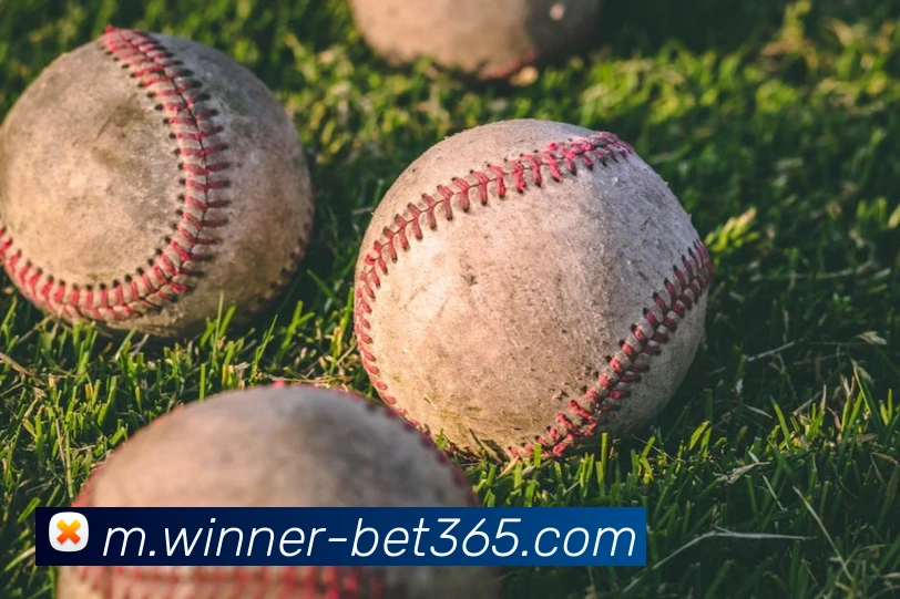 App Interface Preview